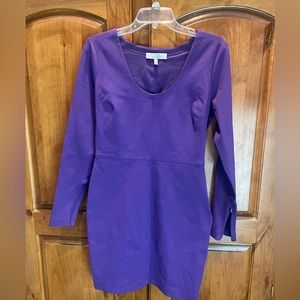 [Robert Rodriguez] Purple Long Sleeve Dress - Size 6